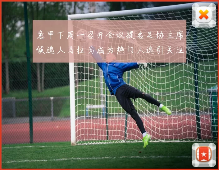 意甲下周一召开会议提名足协主席候选人马拉戈成为热门人选引关注