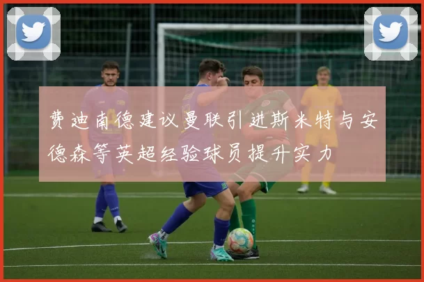 费迪南德建议曼联引进斯米特与安德森等英超经验球员提升实力